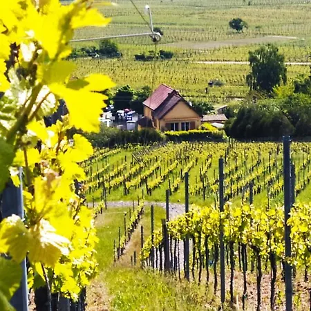 Le P'tit Coin De Chez Nous