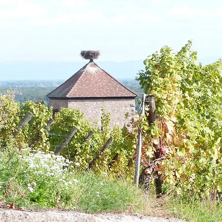 Le P'tit Coin De Chez Nous Dambach-la-Ville