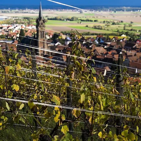 Le P'tit Coin De Chez Nous Сasa de vacaciones