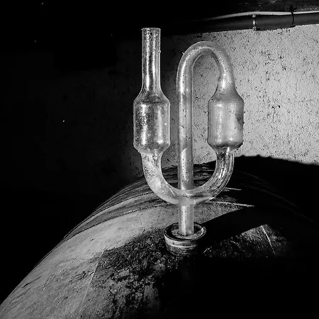 Le P'tit Coin De Chez Nous Dambach