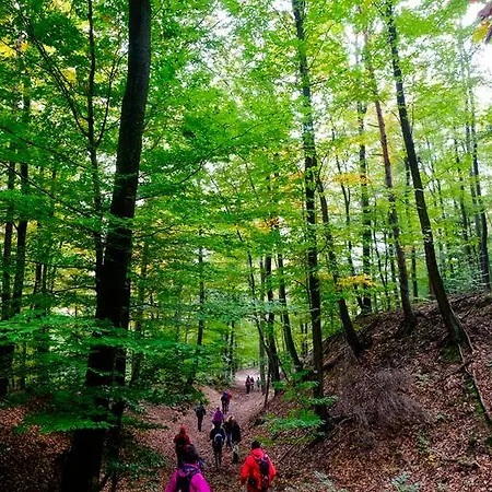 Le P'tit Coin De Chez Nous