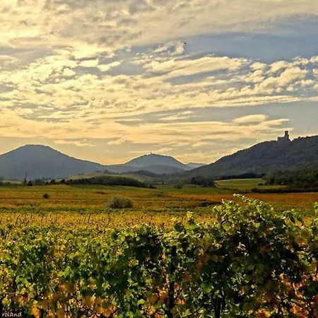 Le P'tit Coin De Chez Nous Сasa de vacaciones Dambach