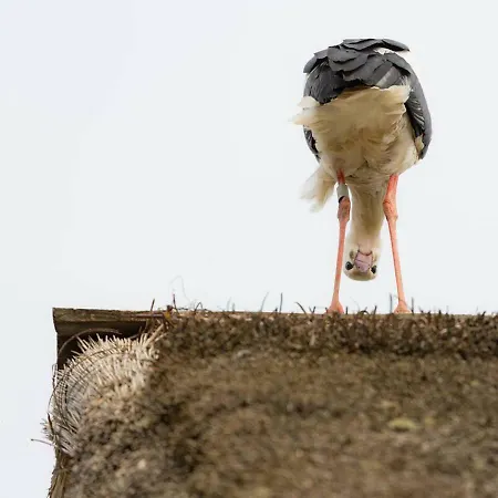 Le P'tit Coin De Chez Nous * Dambach