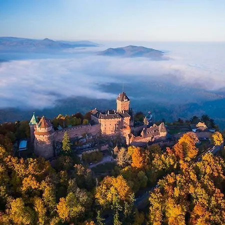 Le P'tit Coin De Chez Nous