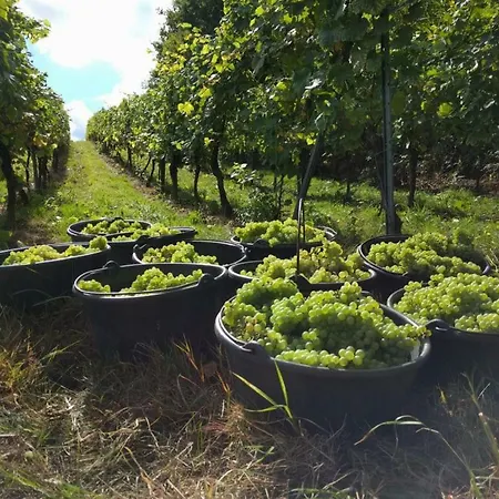 Сasa de vacaciones Le P'tit Coin De Chez Nous